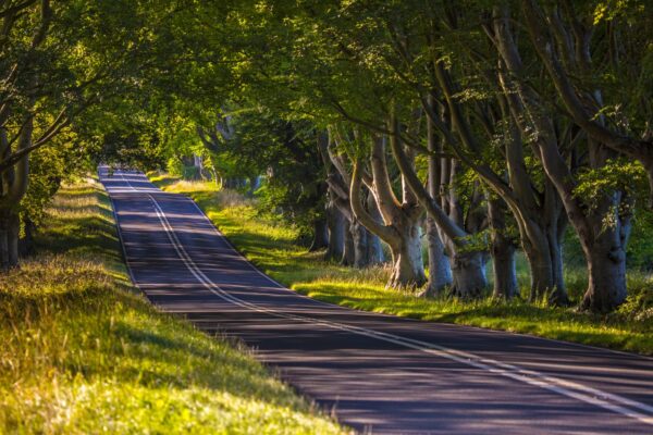 Green travel